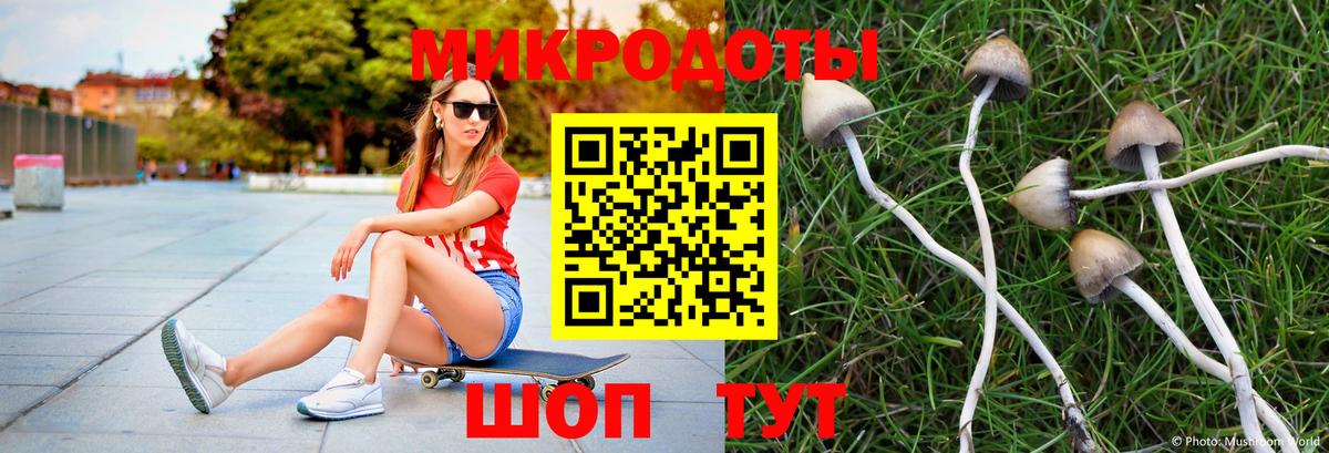 Галлюциногенные грибы GOLDEN TEACHER  Вход с VPN  Галлюциногенные грибы Magic Shrooms  Курчатов 