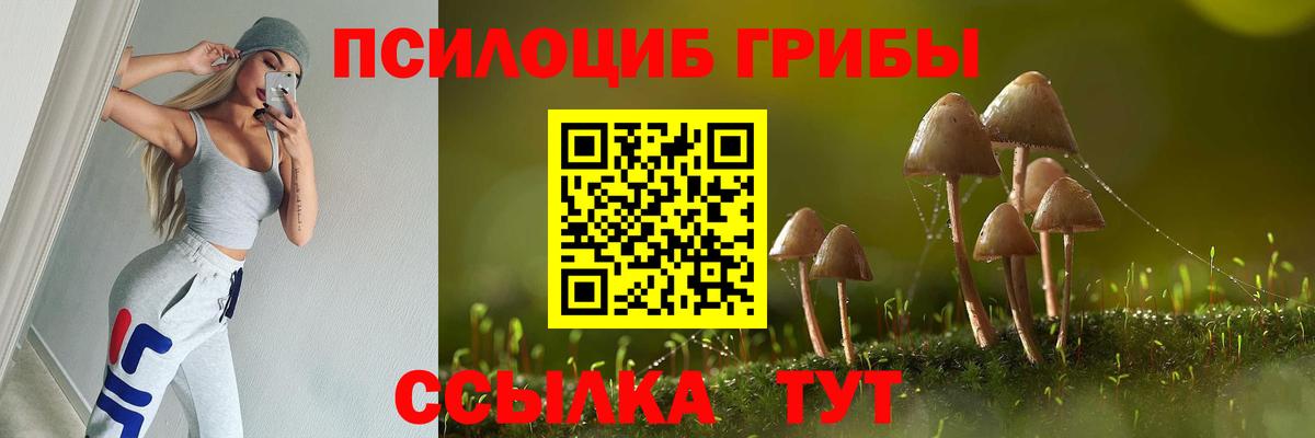 Псилоцибиновые грибы мицелий Курчатов